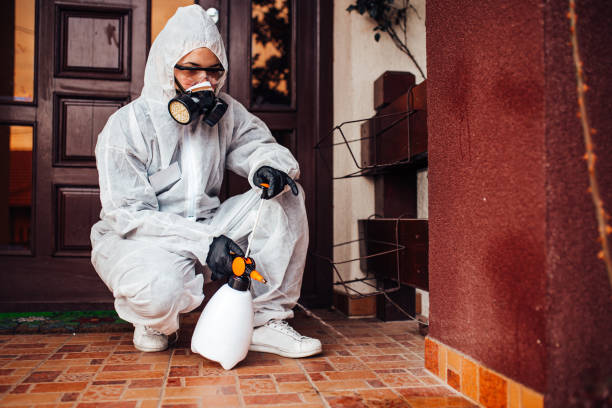 Reliable Wasp Removal contractor in Aptos Hills-Larkin Valley, CA by Show Me Pest Control